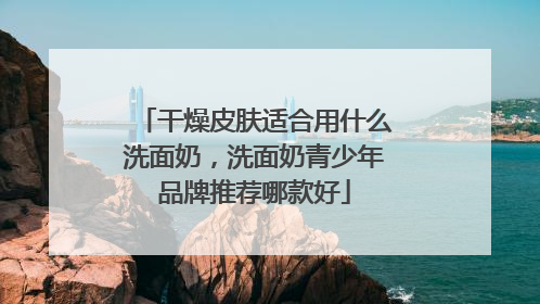 干燥皮肤适合用什么洗面奶，洗面奶青少年品牌推荐哪款好
